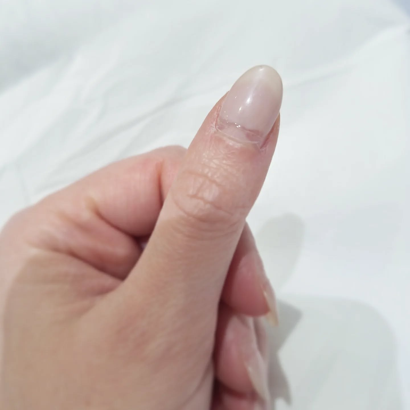Ricrescita e rimozione del semipermanente 💅🏻 Refill

Cosa avrà realizzato la nostra Anna per la nostra cliente? 

🩷
Cosa aspetti?
Scopri i nostri servizi e prenota il tuo appuntamento

httpswwwparrucchiere-estetistait

Tel 059926258

Cell Estetica -Anna 3493371641 

Via Francesco Bertelli 911 41013 Castelfranco Emilia Modena Emilia-Romagna Italia

pinknails nails nailsofinstagram nailart glitternails nailsoftheday acrylicnails gelnails longnails nailinspo nailsnailsnails nailtech pink explorepage nailsonfleek ombrenails naildesign shortnails naildesigns nudenails manicure naturalnails nailartist coffinnails instanails summernails nailstagram gelpolish nailsart frenchnails